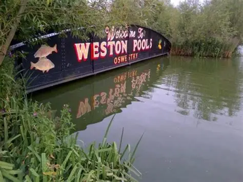 Weston Pools Fishery