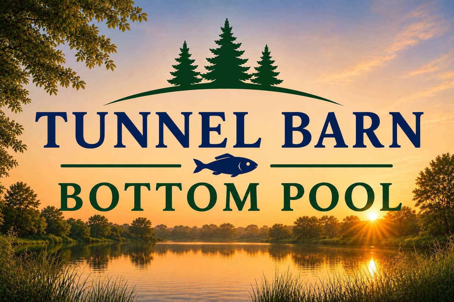 Bottom Pool