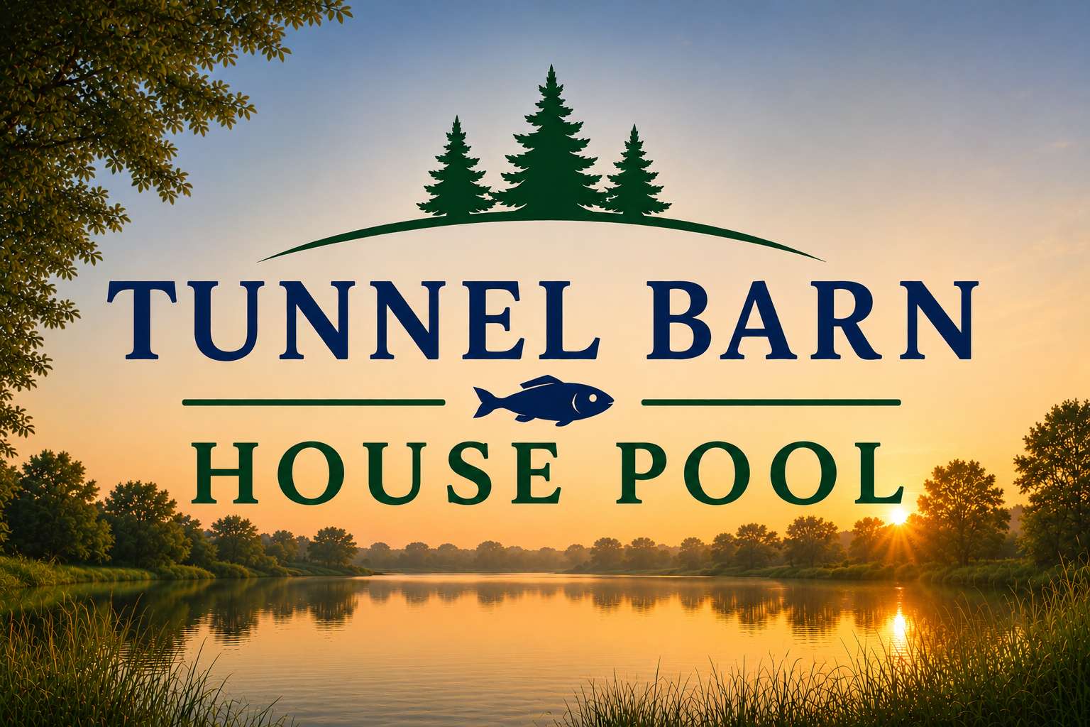 House Pool