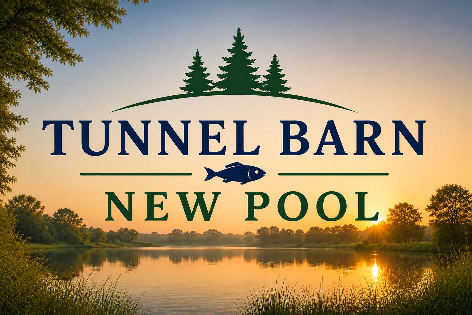 New Pool at Tunnel Barn Farm