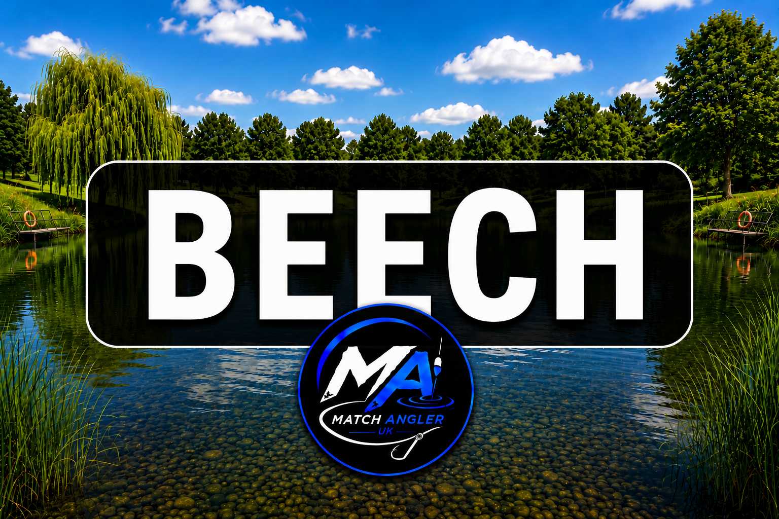 Beech