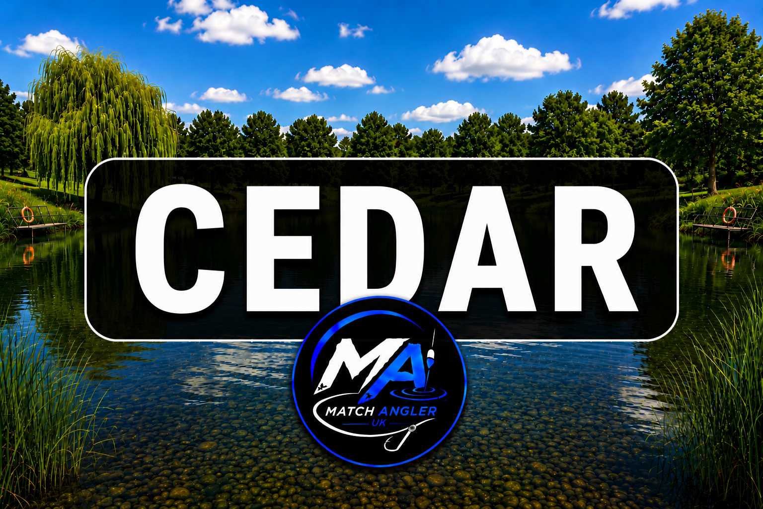 Cedar