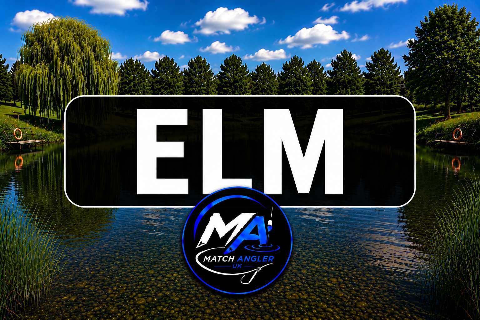 Elm