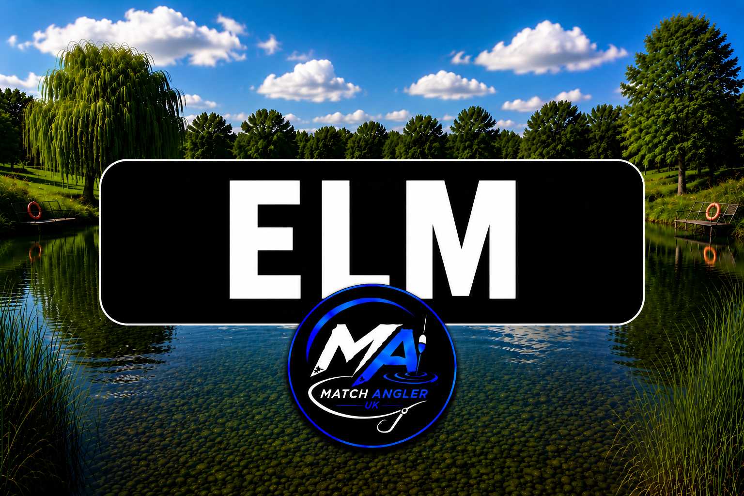 Elm