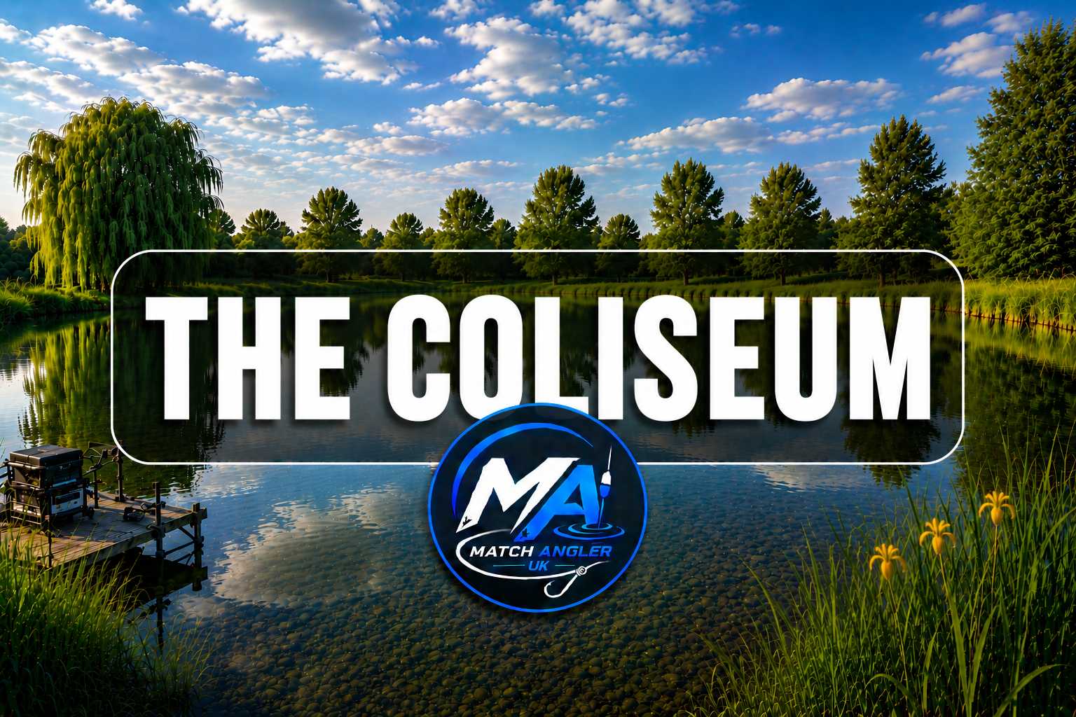 The Coliseum