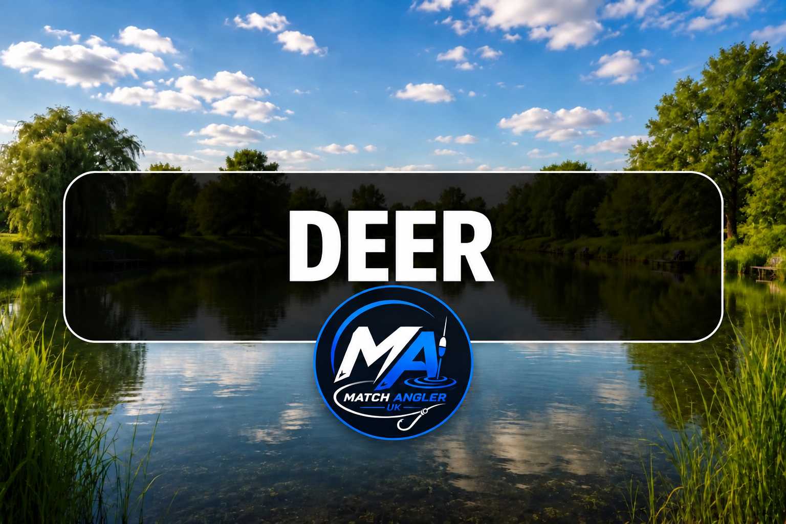 Deer