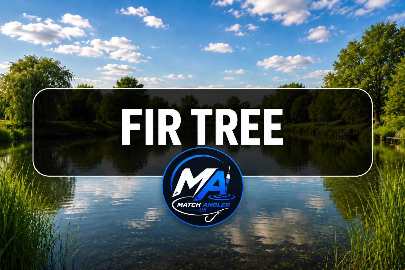 Fir Tree
